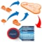 Belimo Digital Ecosystem Driver