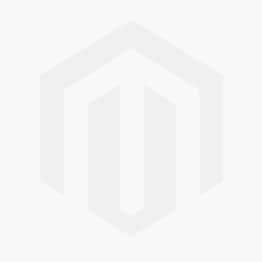 BAS Programming Fundamentals - PROG100